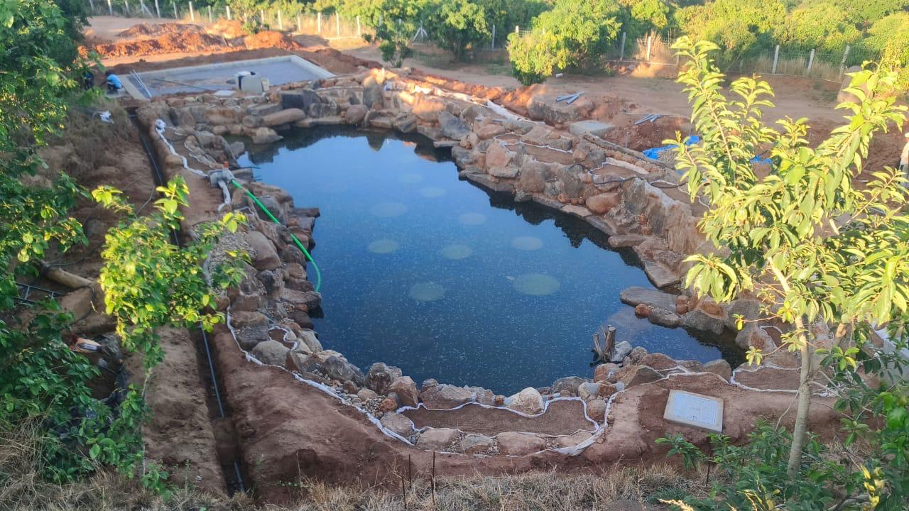 Bio pool system
