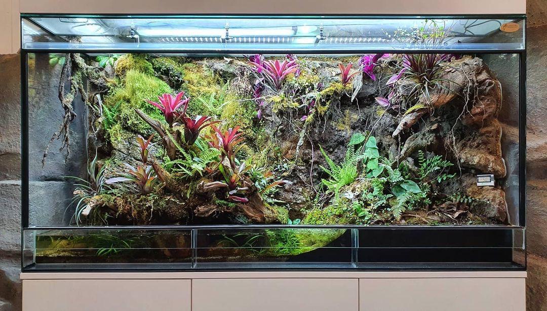 Paludarium system